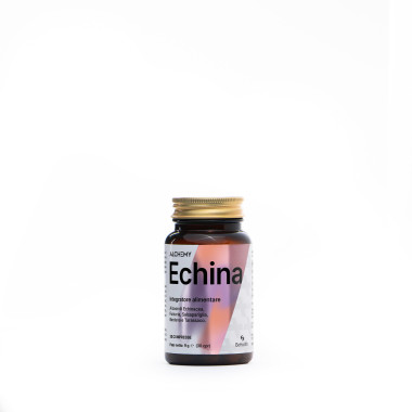 Echina